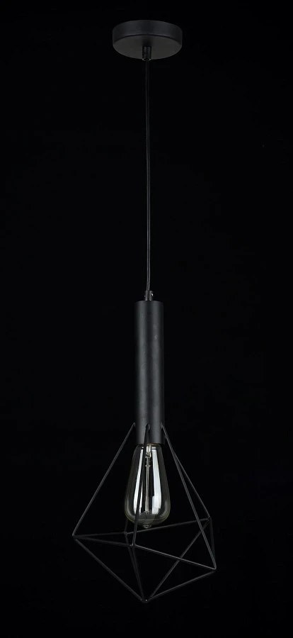 Подвесной светильник Maytoni T021-01-B