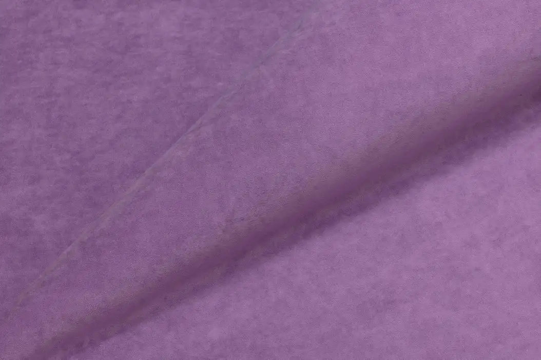 Teddy 638